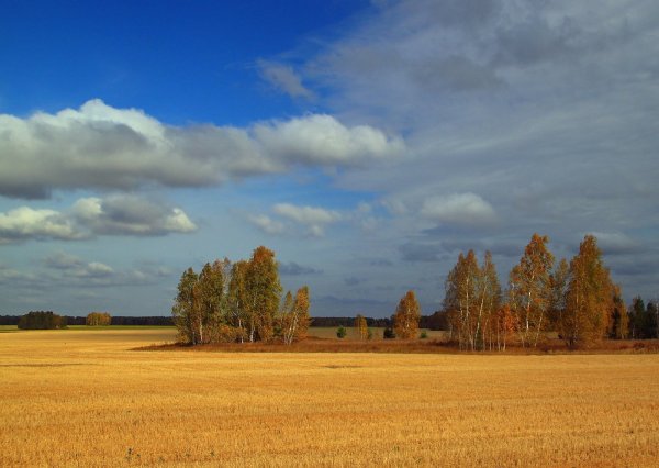 Курганская область пейзажи природы Курганская область