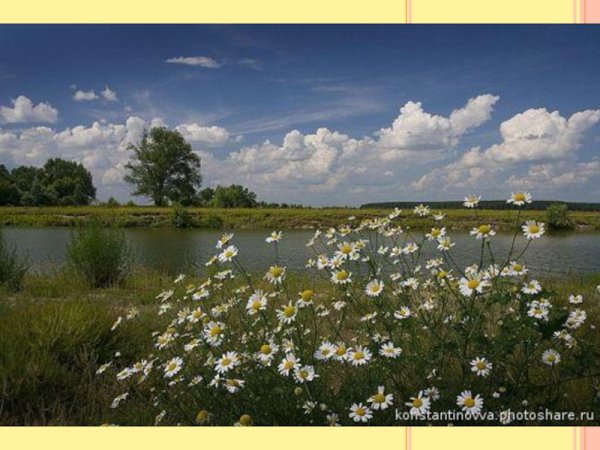 Курганская природа Курганской области