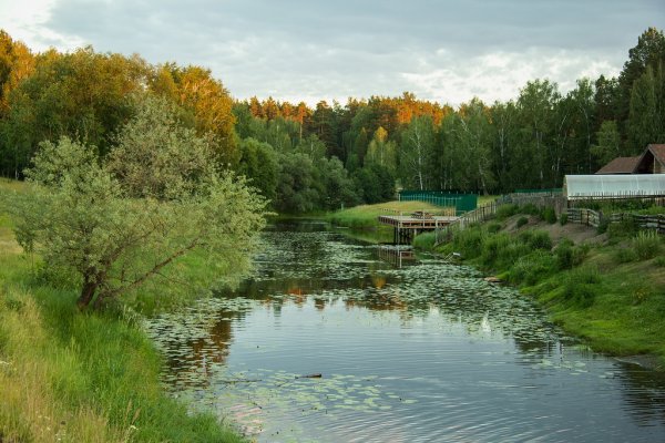 Зауралье Курган природа