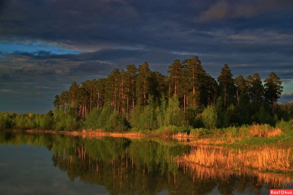 Природа Зауралья Курганская область