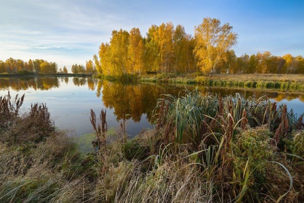 Природа Зауралья Курганская область