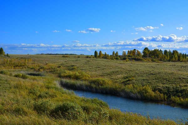 Природа Зауралья Курганская область