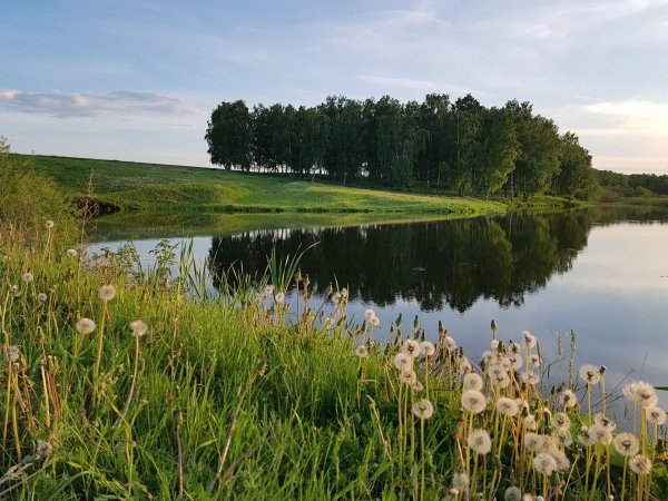 Природа Зауралья Курганская область