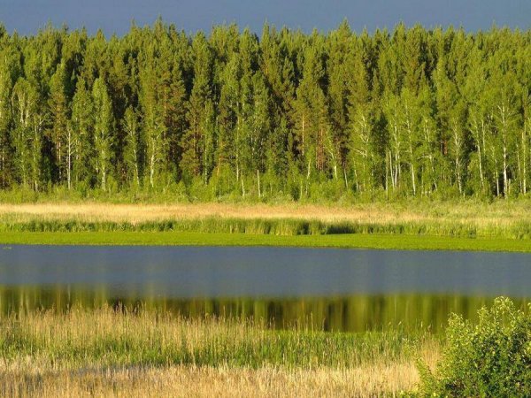 Озеро Щучье Курганская область Кетовский район