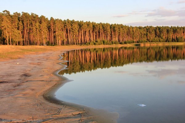 Курган Зауральская природа