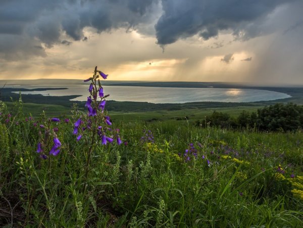 Природа Зауралья Курганская область