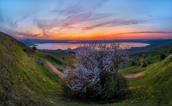 Природа Зауралья