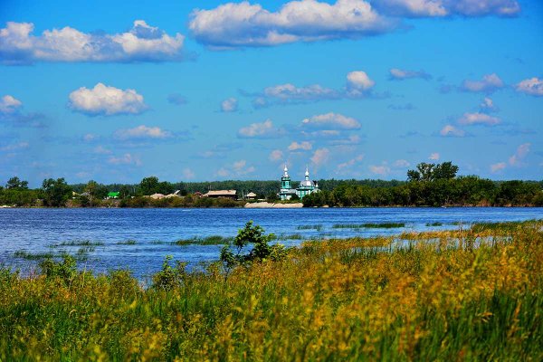 Курганская природа Курганской области