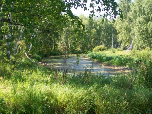 Осень в родном краю