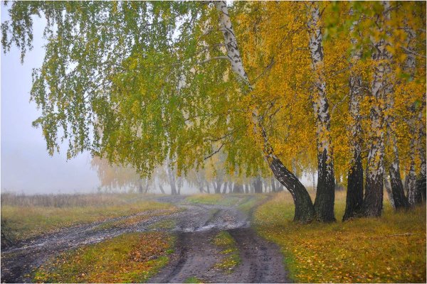 Природа Курганской области