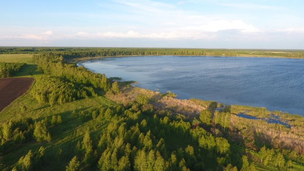 Зауралье Курган природа