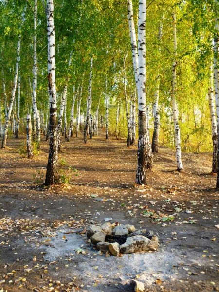 Иванов камень Курганская область