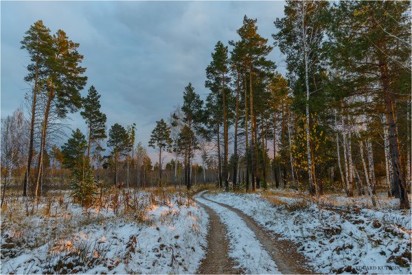 Курганская область пейзажи природы Курганская область