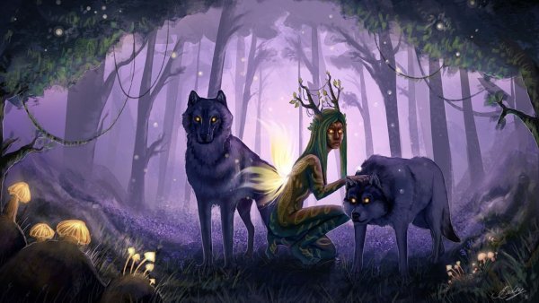 Волшебная книга