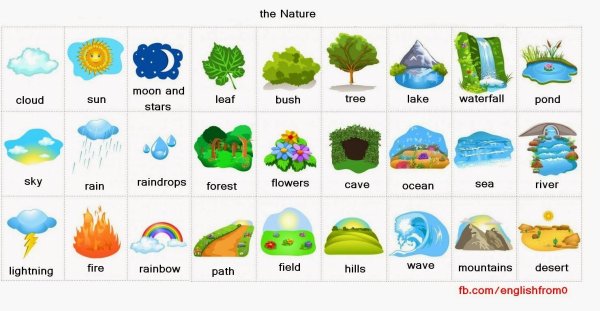 Worksheet на тему nature