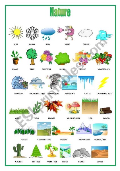 Nature для детей на английском