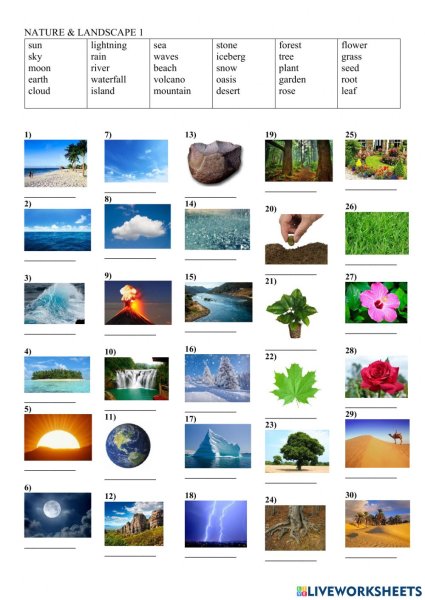 Карточки по английскому природа