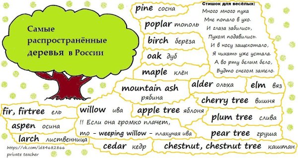 Саффолк Англия природа