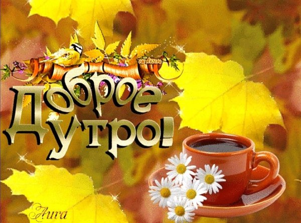 Открытки с добрым утром осенние красивые