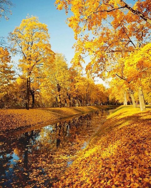 Солнечный осенний день