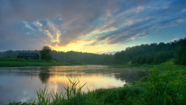 Березовая роща Тутаев