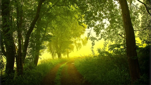 Родные просторы Пушгоры панорама
