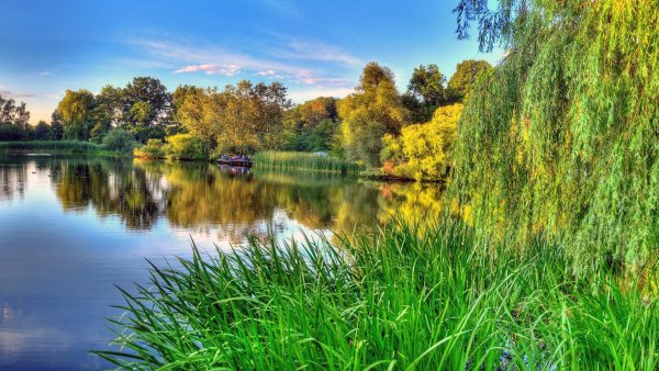 Красивая панорама природы