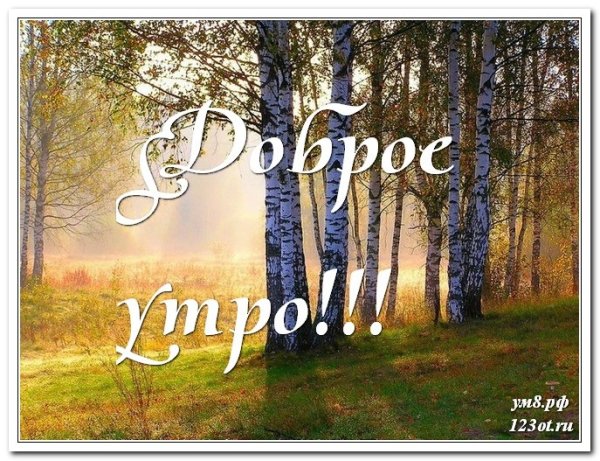 Тик ток с добрыммутром