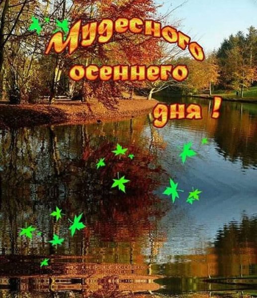 Хорошего дня осень