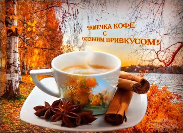 Доброе утро красивая природа с пожеланием