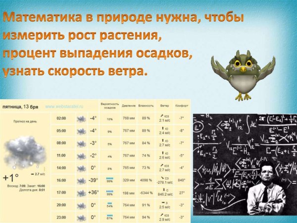 Математика в природе презентация