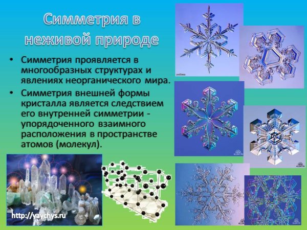 Математика в природе