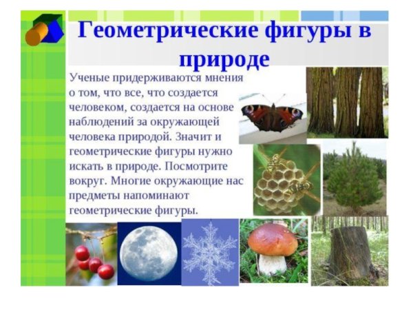 Поворотная симметрия в природе