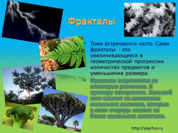Симметрия и асимметрия в природе