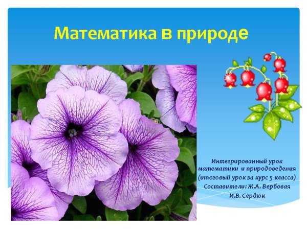 Математика в природе презентация