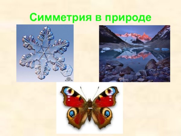 Красота математики в природе