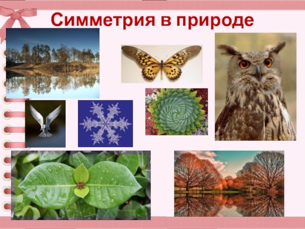 Математика в природе