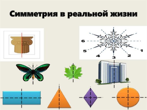 Симметрия презентация