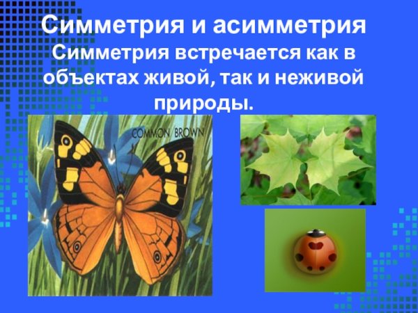 Симметрия в математике проект