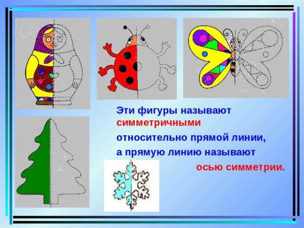 Математика в природе