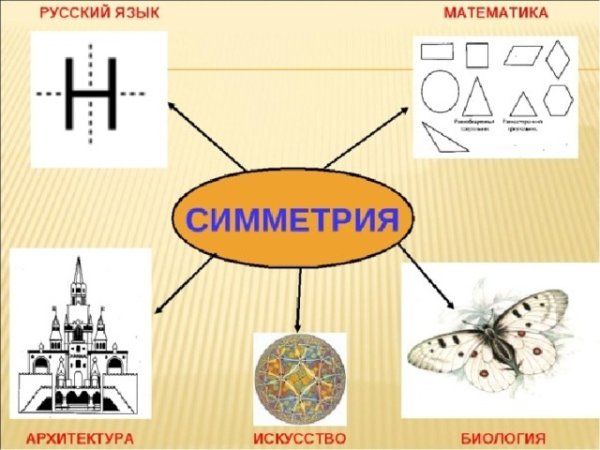 Симметрия в природе геометрия