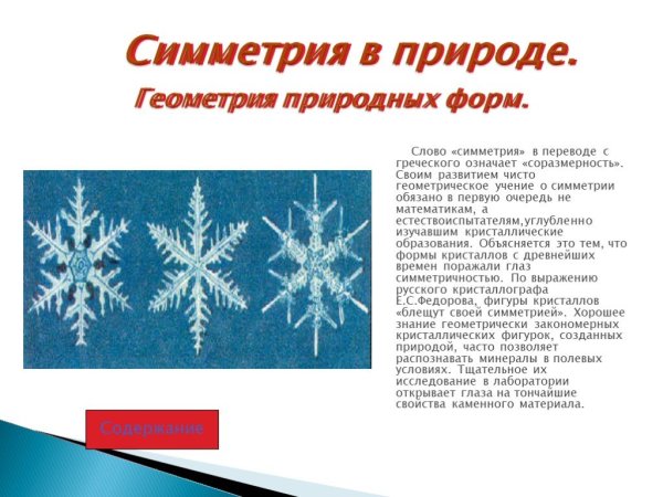 Природа в математике
