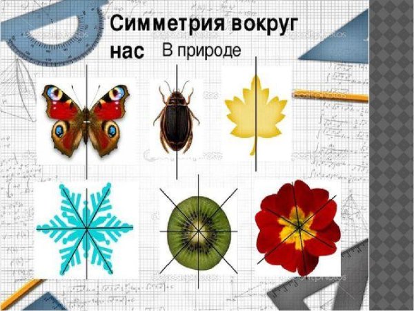 Презентация на тему симметрия