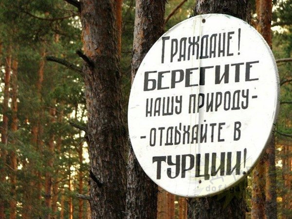 Цитаты про отдых на природе