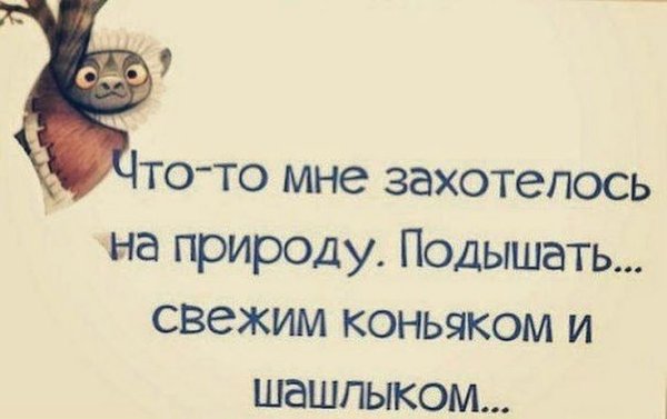 Танцующий медведь
