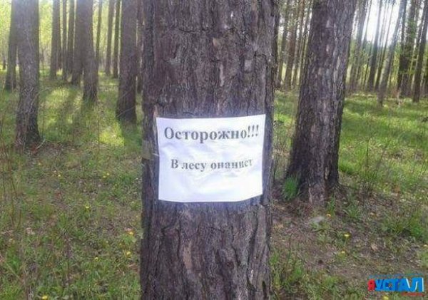 Собака на природе