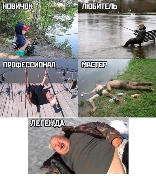 Котята поют