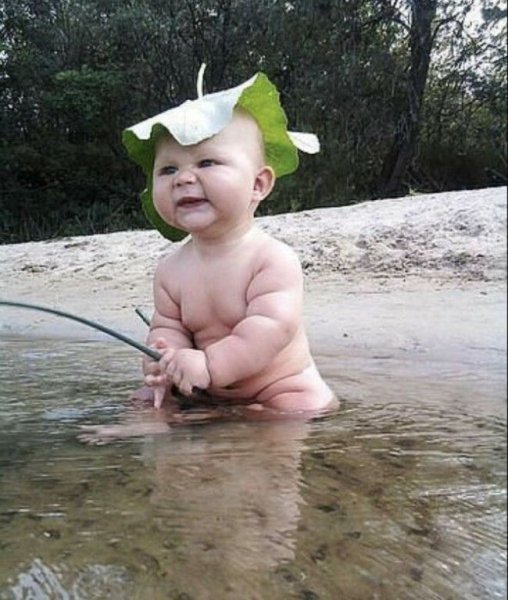 Приколы про шашлыки на природе