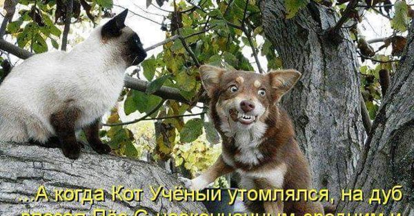Высказывания про погоду прикольные