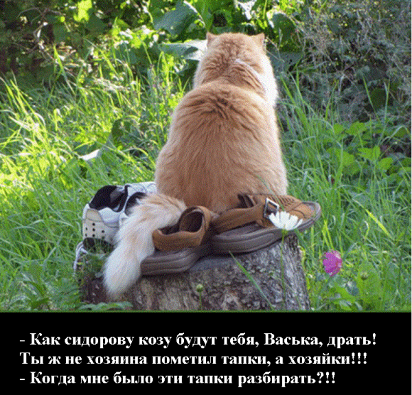 Про осень прикольные